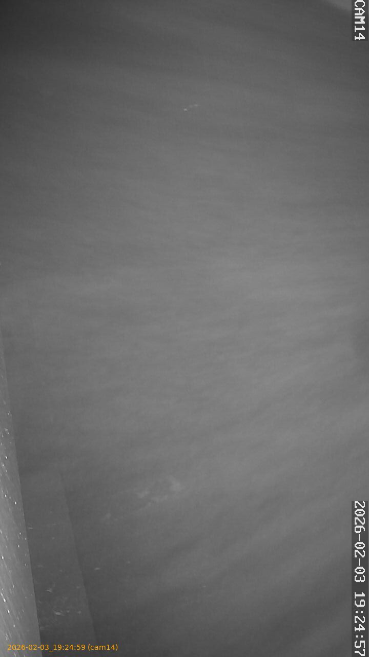 thumbnail_202602031924