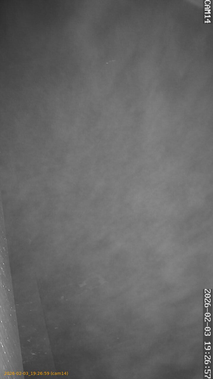 thumbnail_202602031926