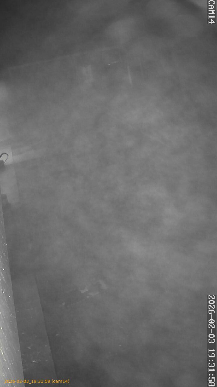 thumbnail_202602031931