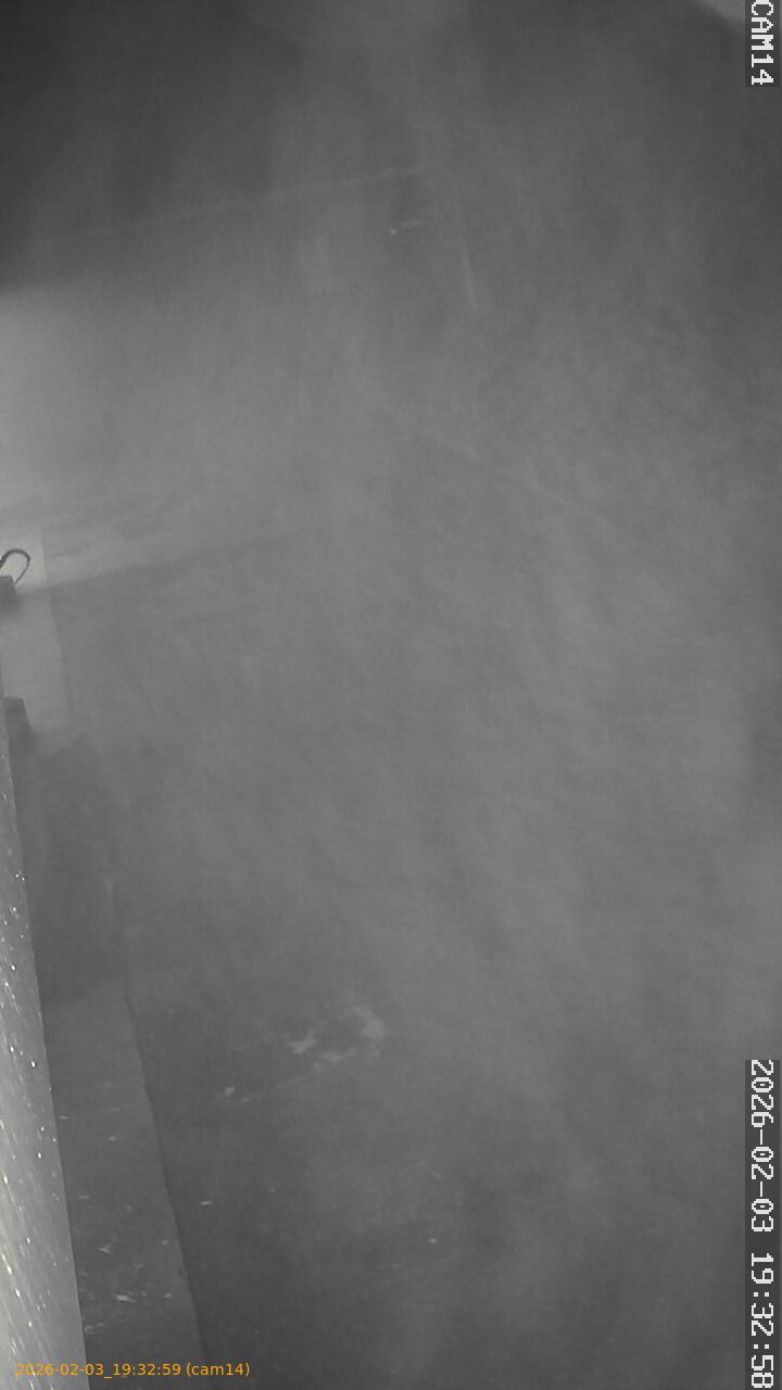 thumbnail_202602031932