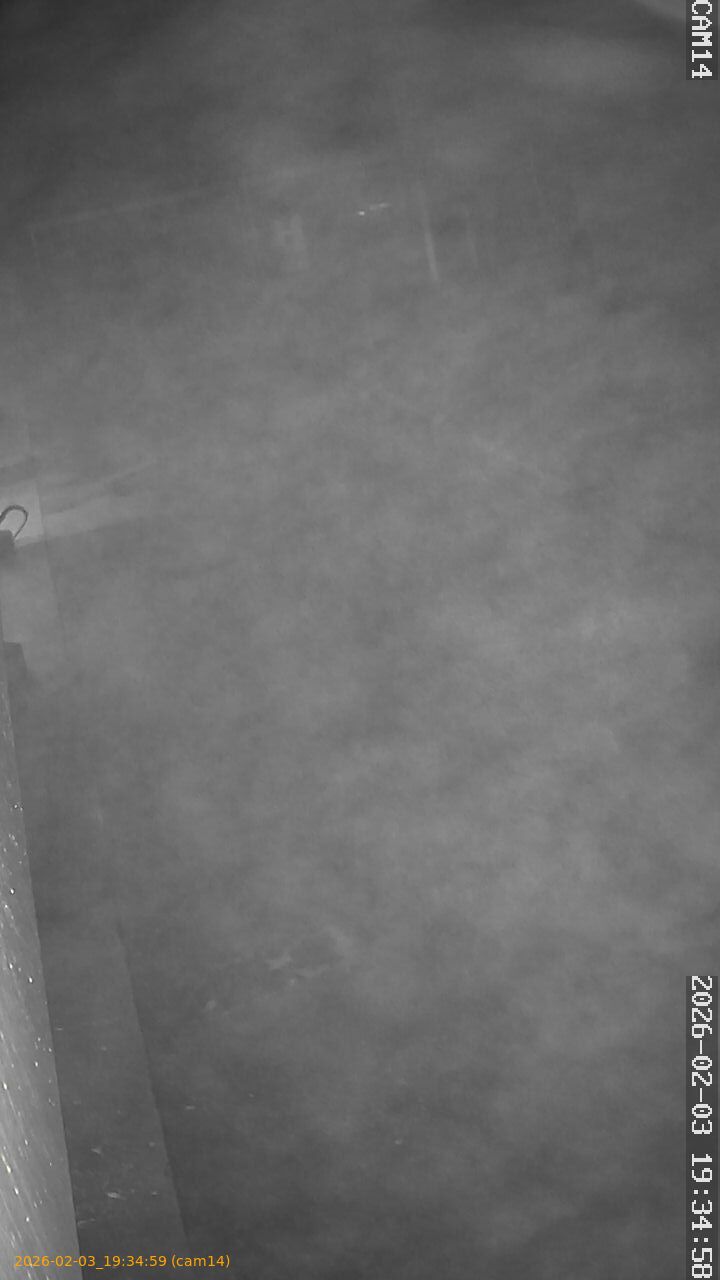 thumbnail_202602031934