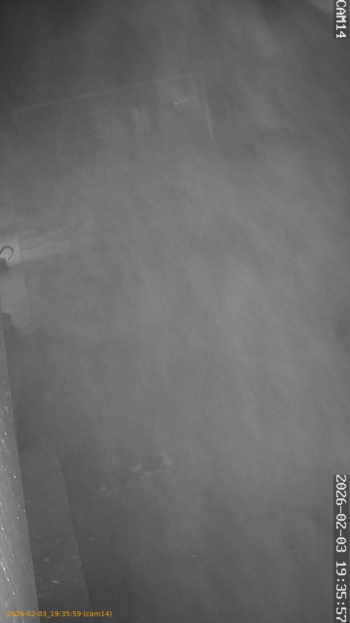 thumbnail_202602031935