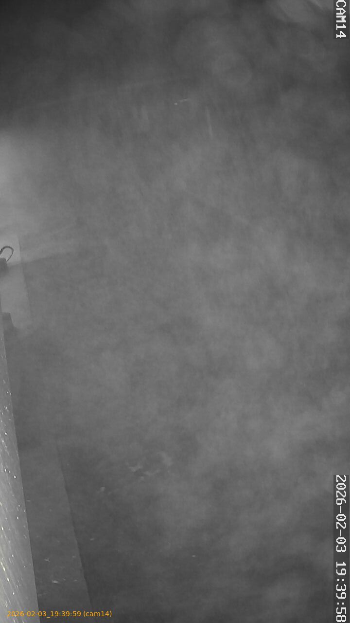 thumbnail_202602031939