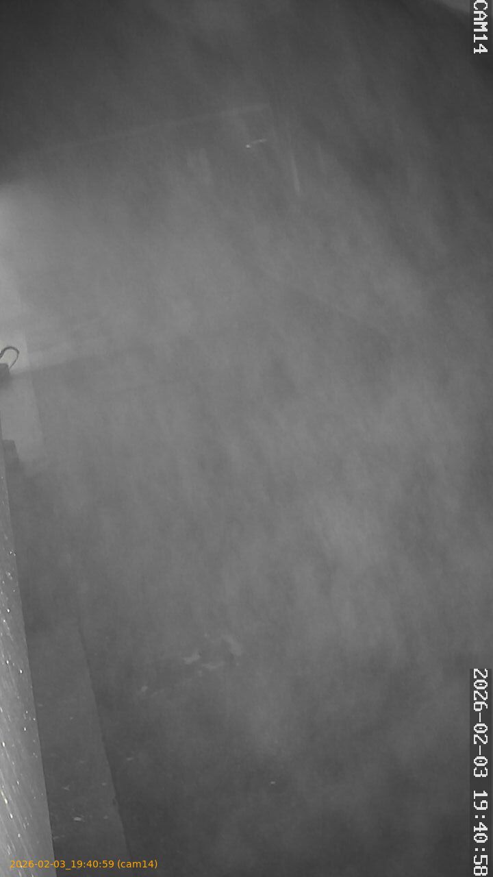 thumbnail_202602031940