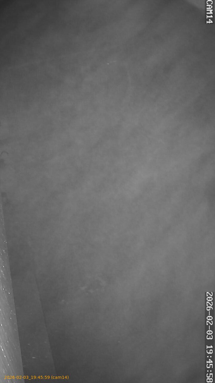 thumbnail_202602031945