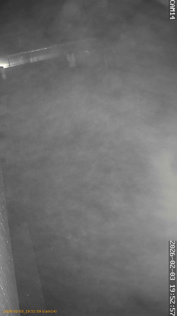 thumbnail_202602031952