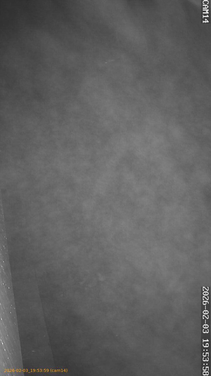 thumbnail_202602031953