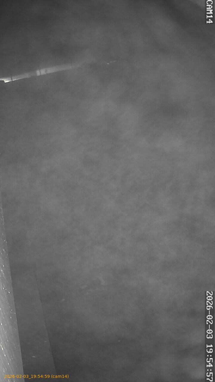 thumbnail_202602031954