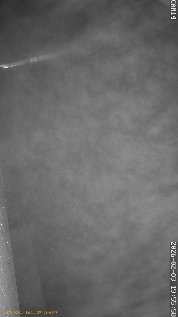 thumbnail_202602031955