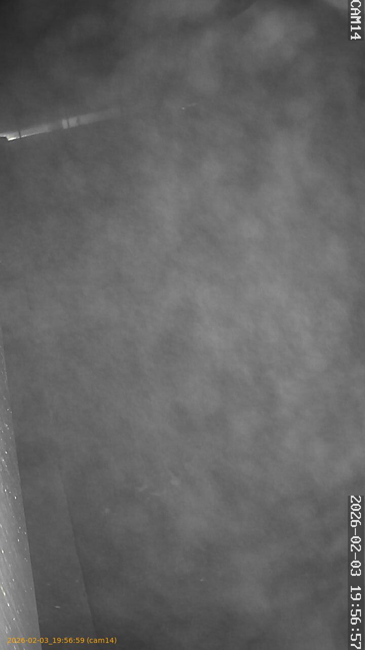 thumbnail_202602031956