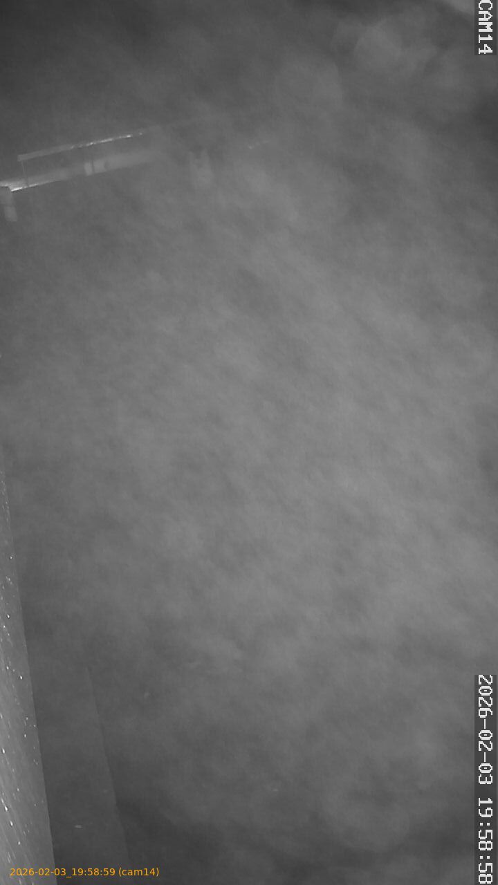 thumbnail_202602031958