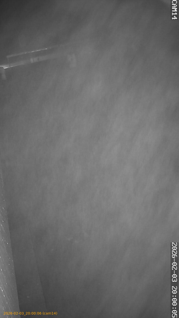 thumbnail_20260203200006