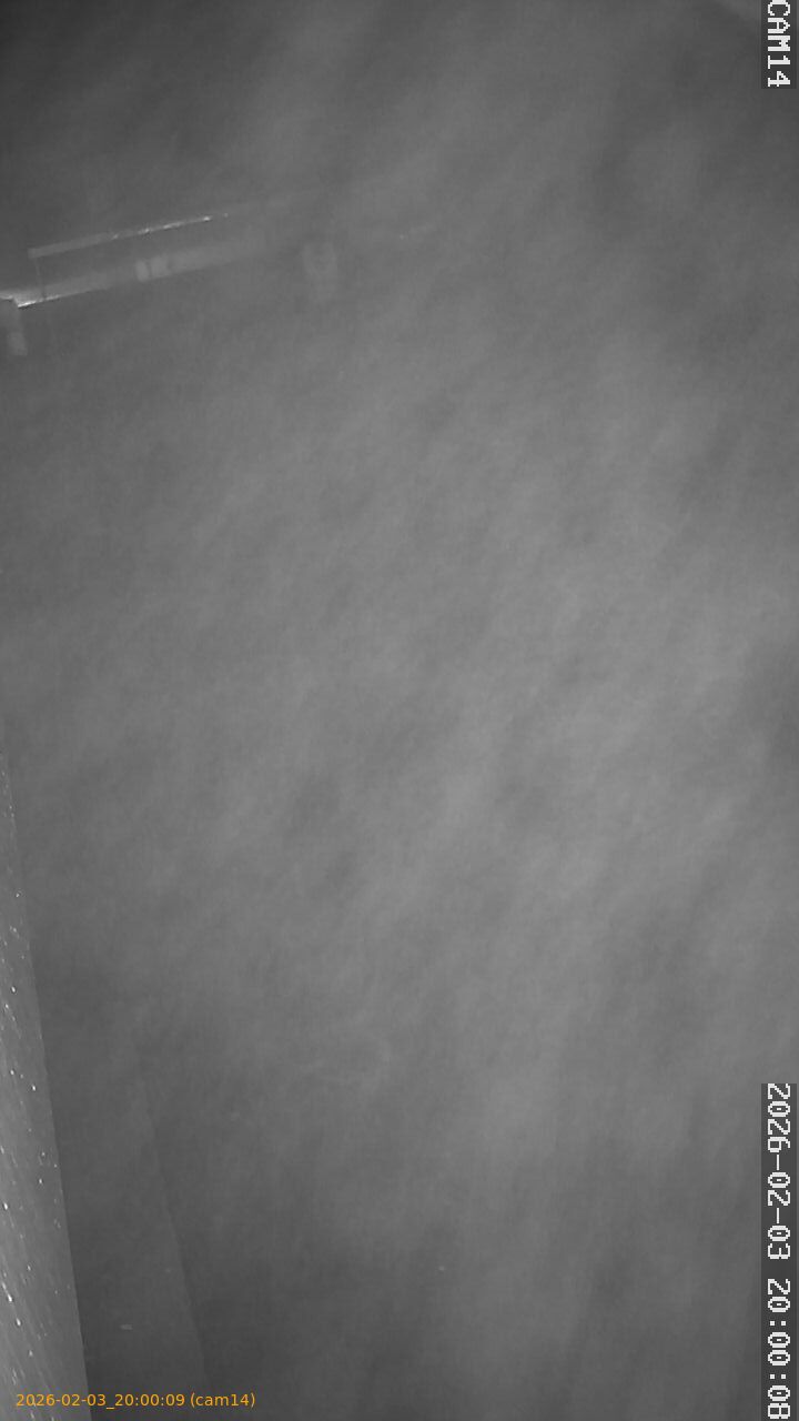 thumbnail_20260203200009