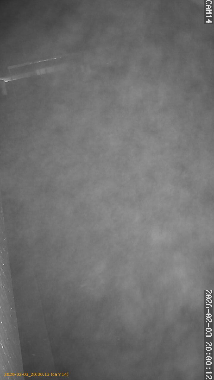 thumbnail_20260203200013