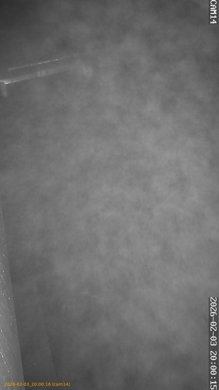 thumbnail_20260203200016