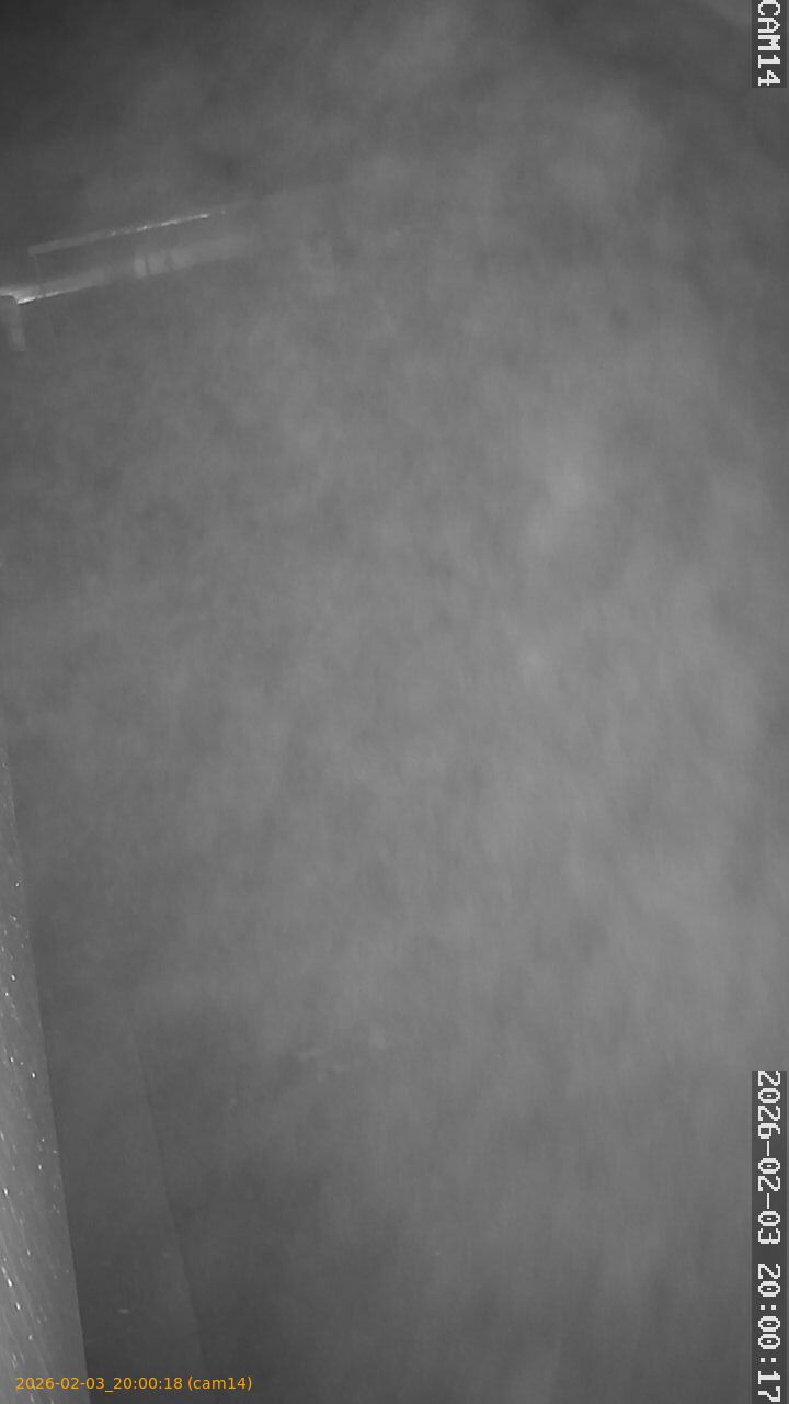 thumbnail_20260203200018