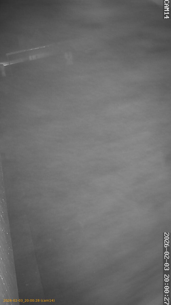 thumbnail_20260203200028