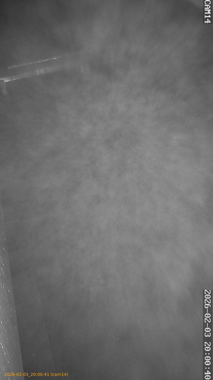 thumbnail_20260203200041