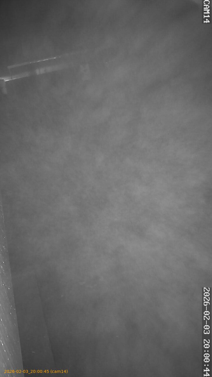 thumbnail_20260203200045