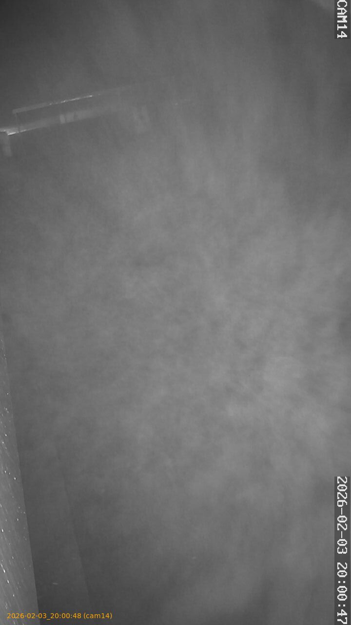 thumbnail_20260203200048