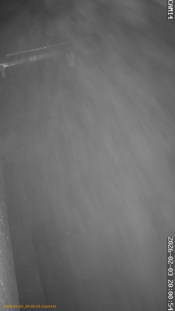 thumbnail_20260203200055