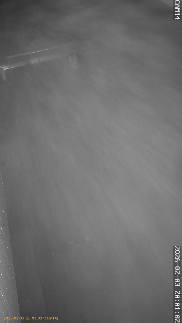 thumbnail_20260203200103