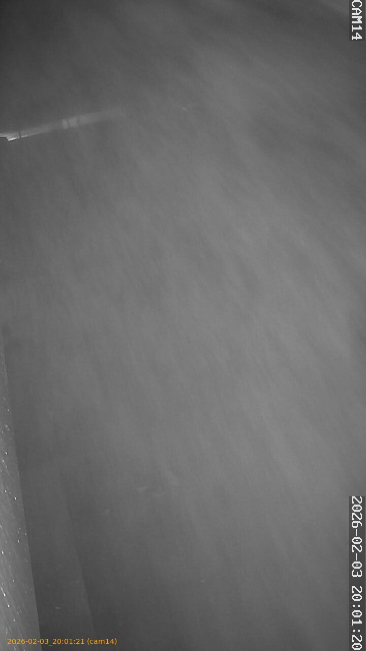 thumbnail_20260203200121