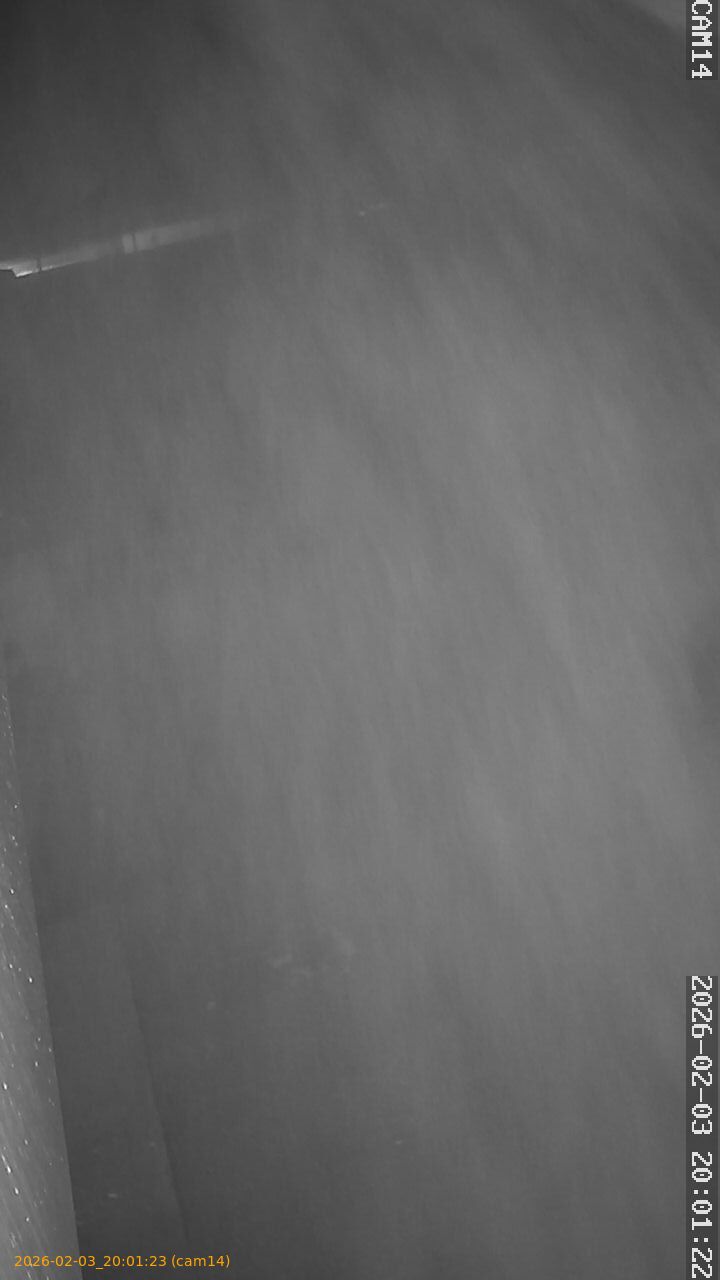 thumbnail_20260203200123