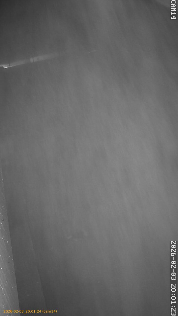 thumbnail_20260203200124