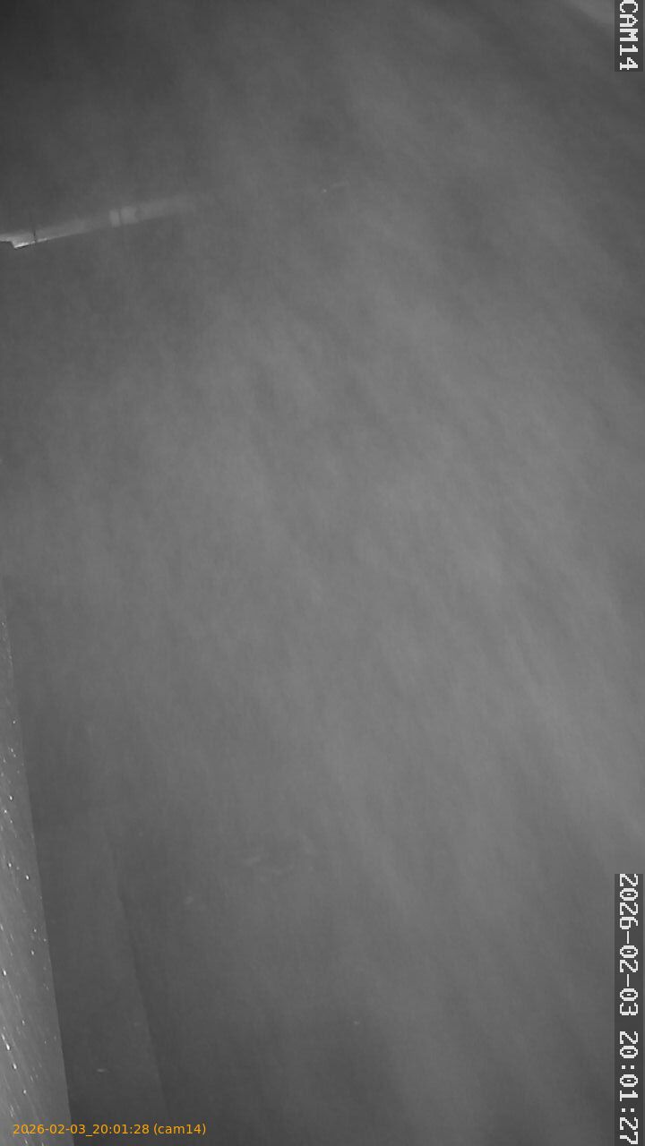 thumbnail_20260203200128