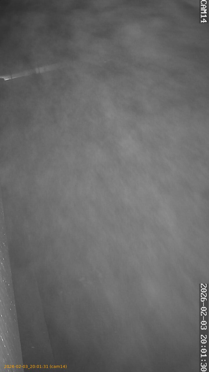 thumbnail_20260203200131