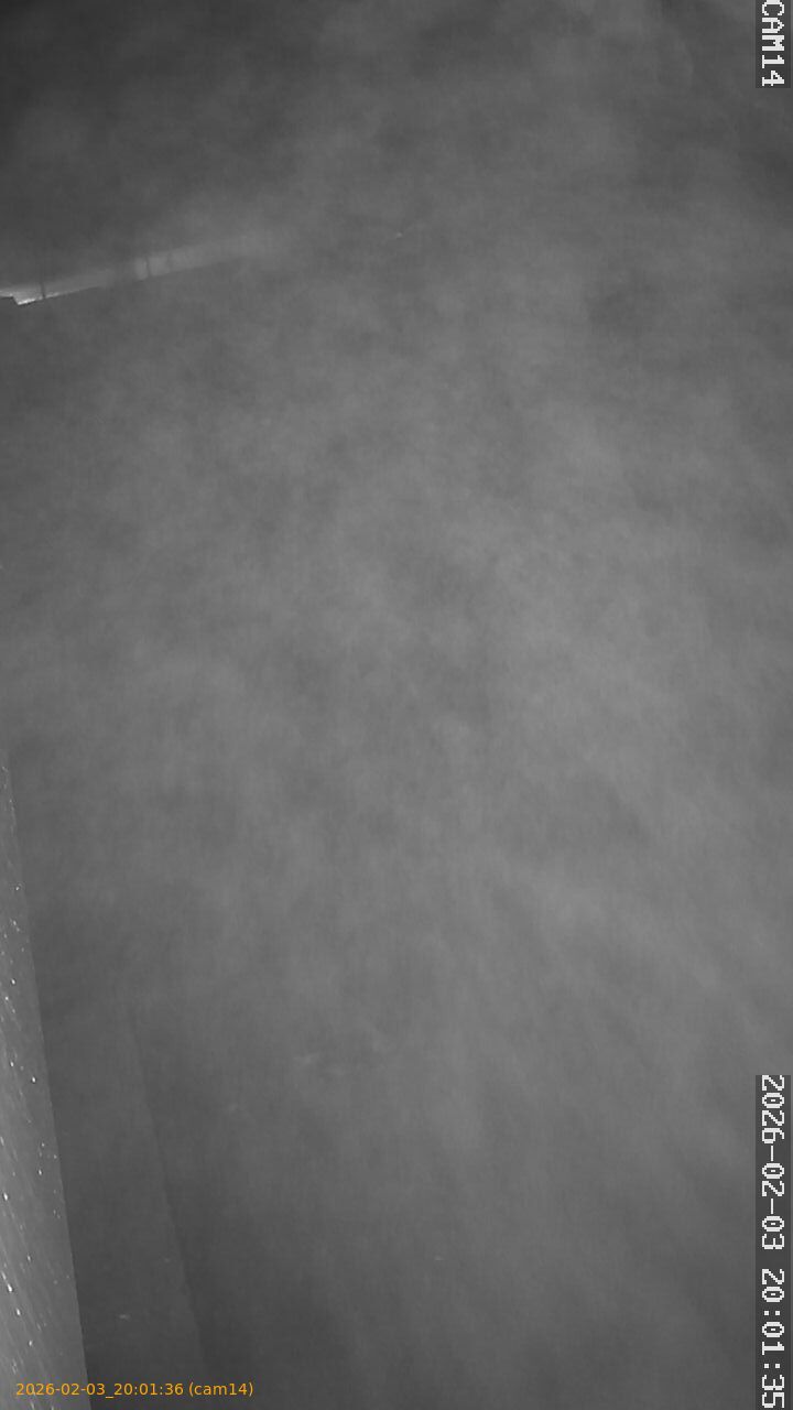 thumbnail_20260203200136