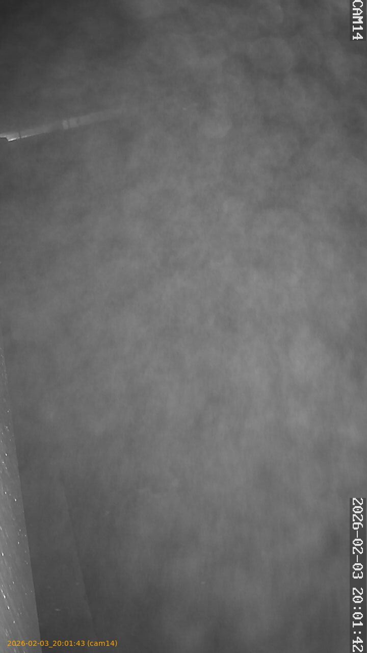 thumbnail_20260203200143