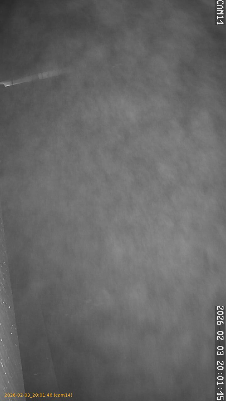 thumbnail_20260203200146