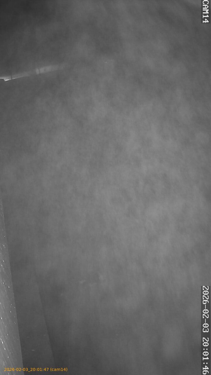 thumbnail_20260203200147