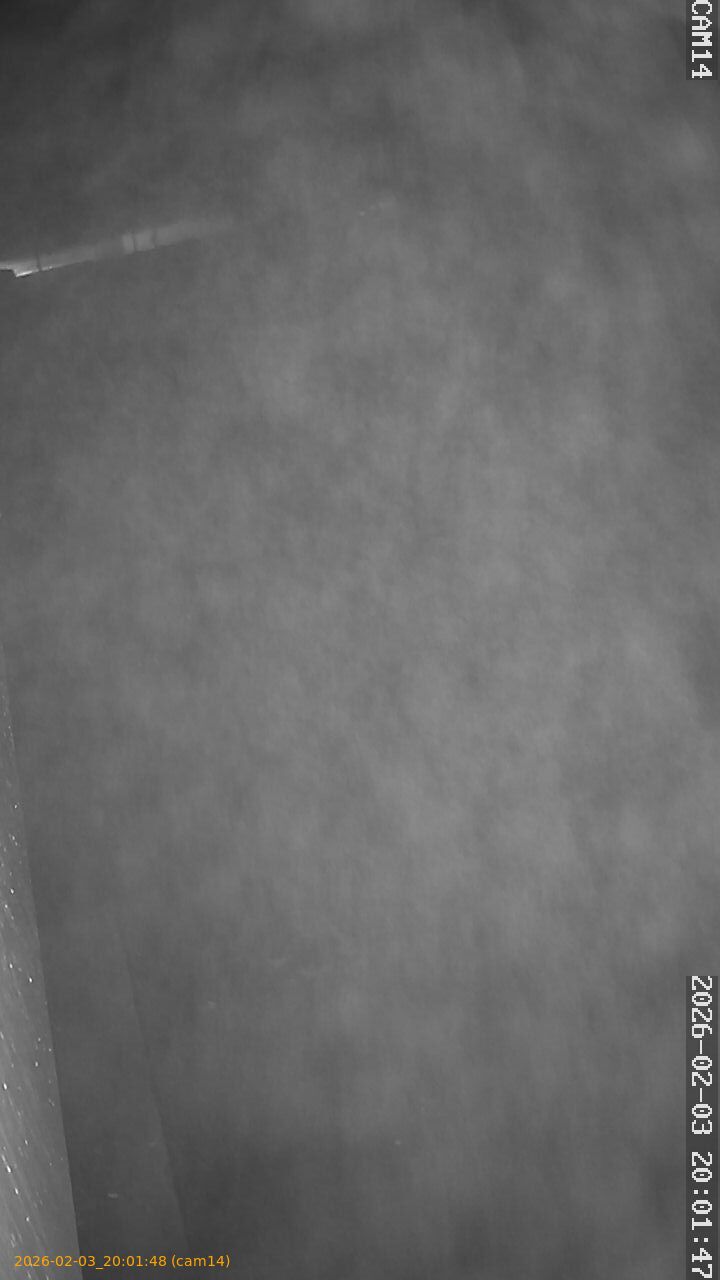 thumbnail_20260203200148