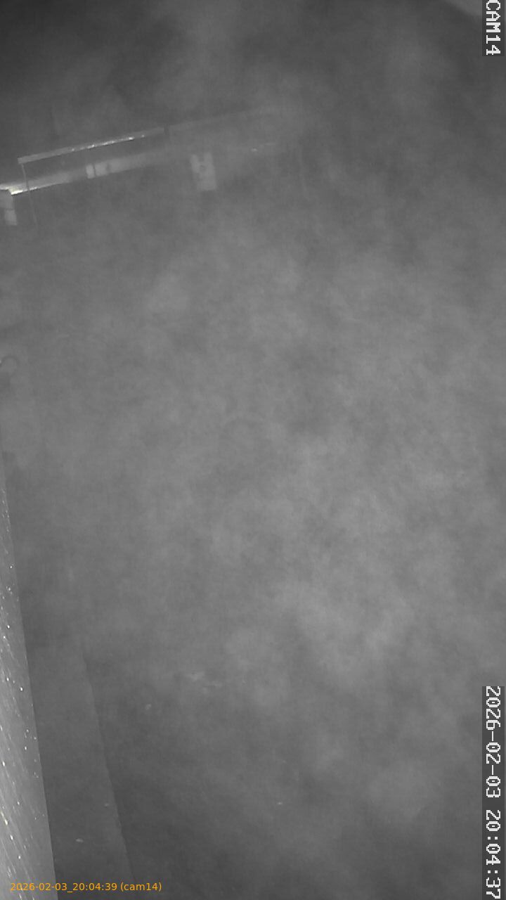 thumbnail_20260203200439