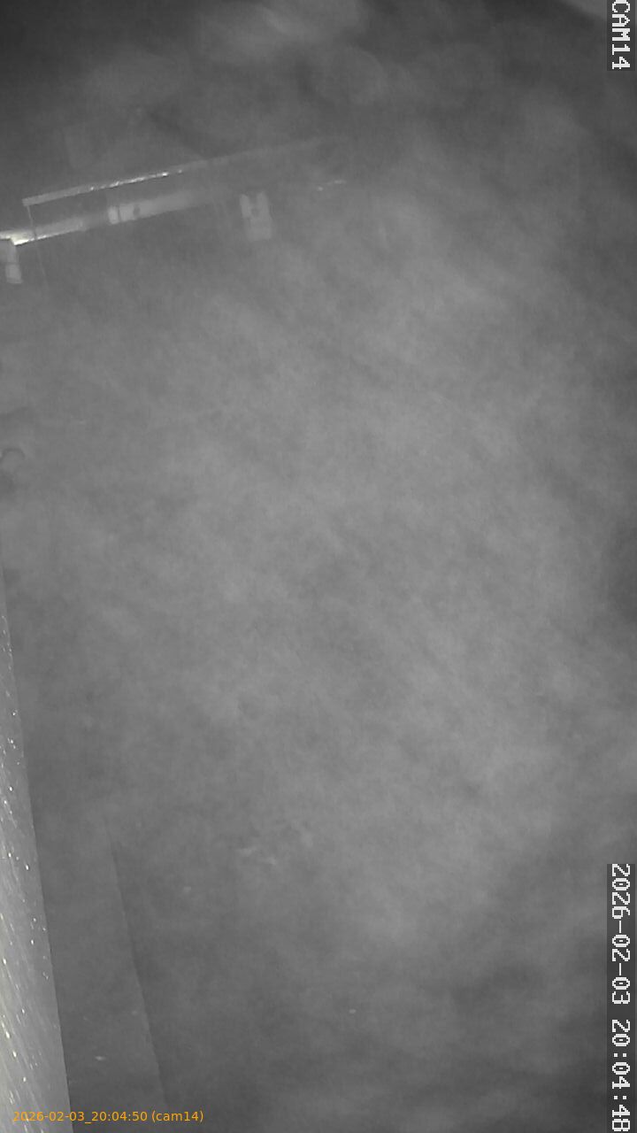 thumbnail_20260203200450