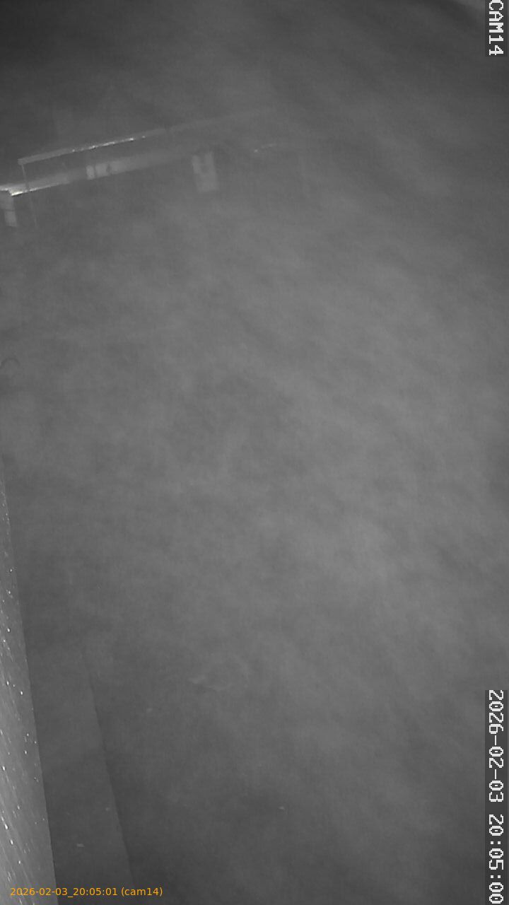 thumbnail_20260203200501