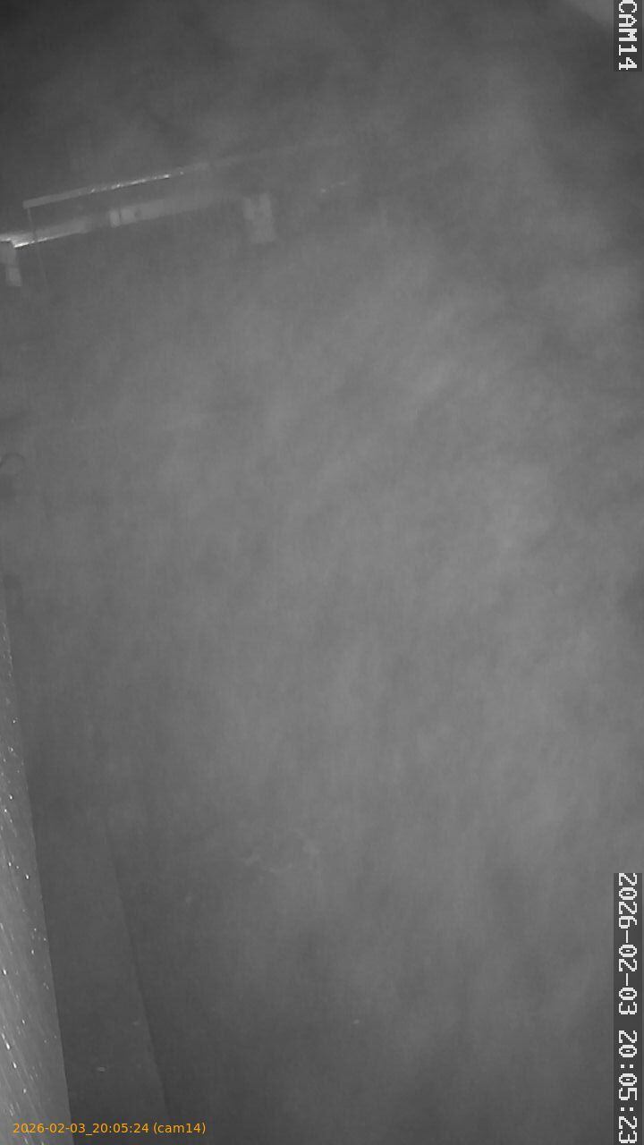 thumbnail_20260203200524