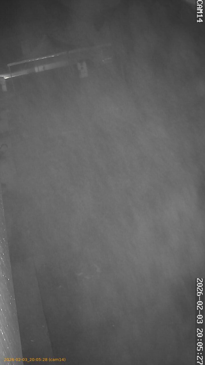 thumbnail_20260203200528