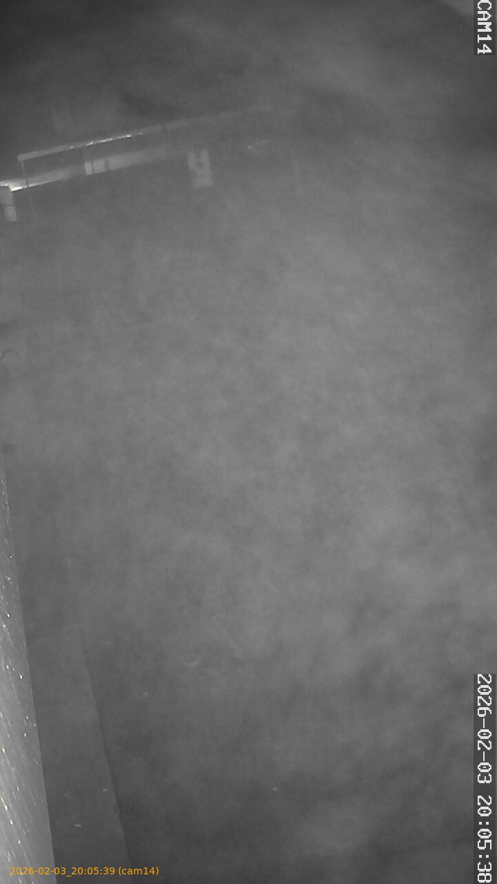 thumbnail_20260203200539