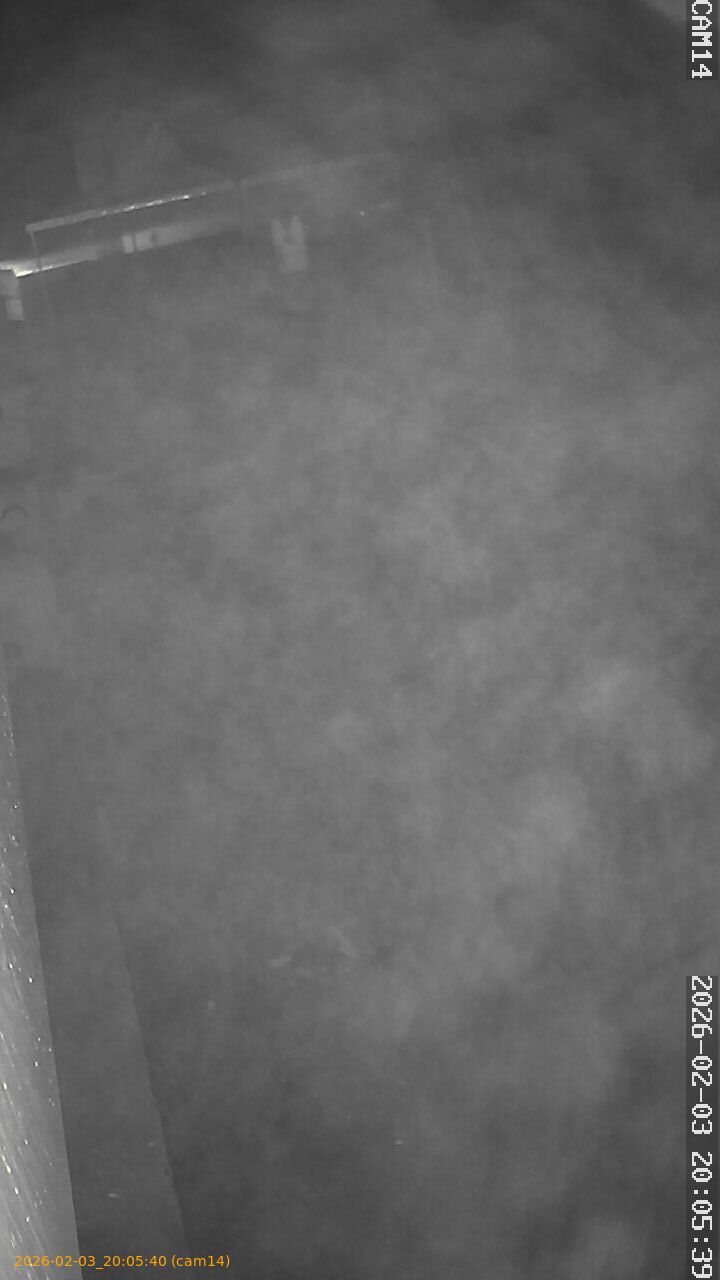 thumbnail_20260203200540