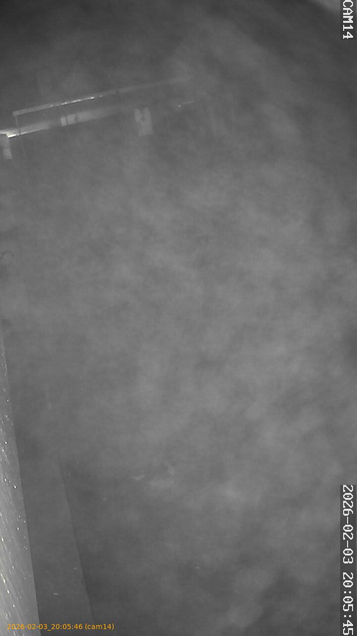 thumbnail_20260203200546