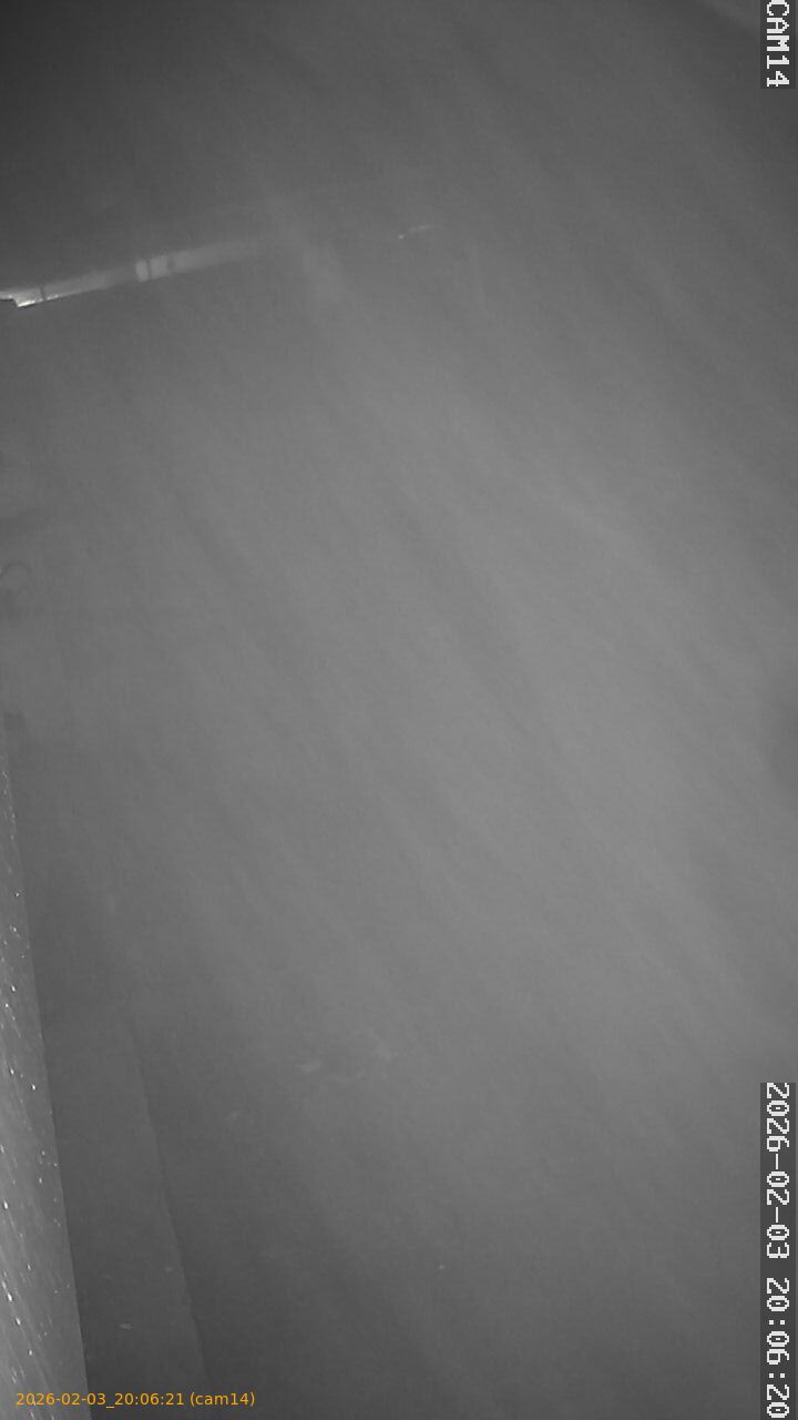 thumbnail_20260203200621