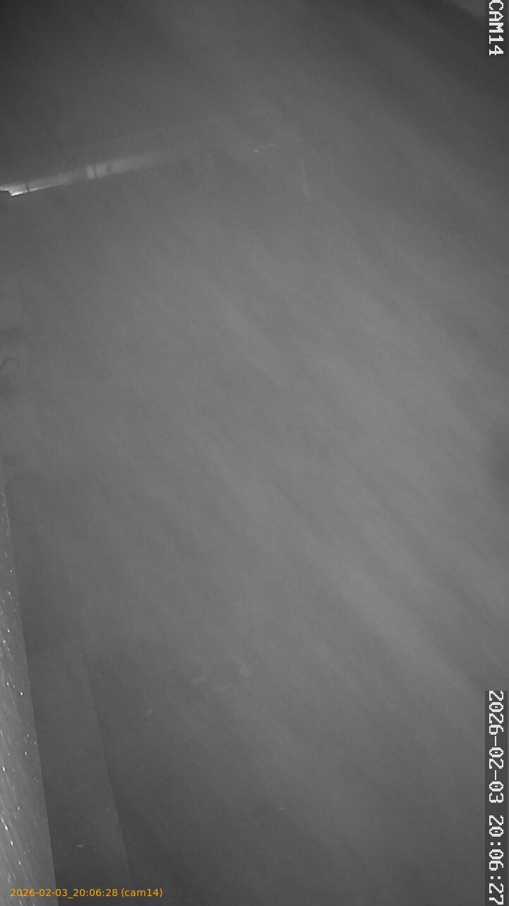 thumbnail_20260203200628