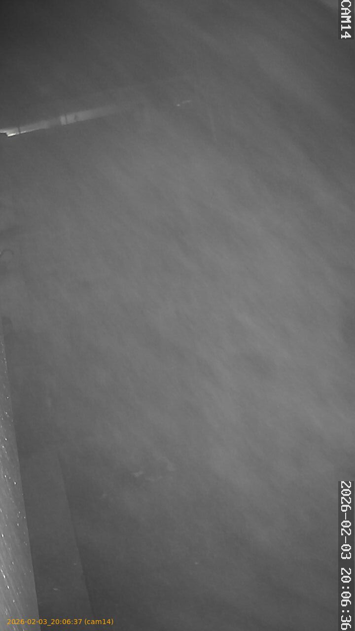 thumbnail_20260203200637