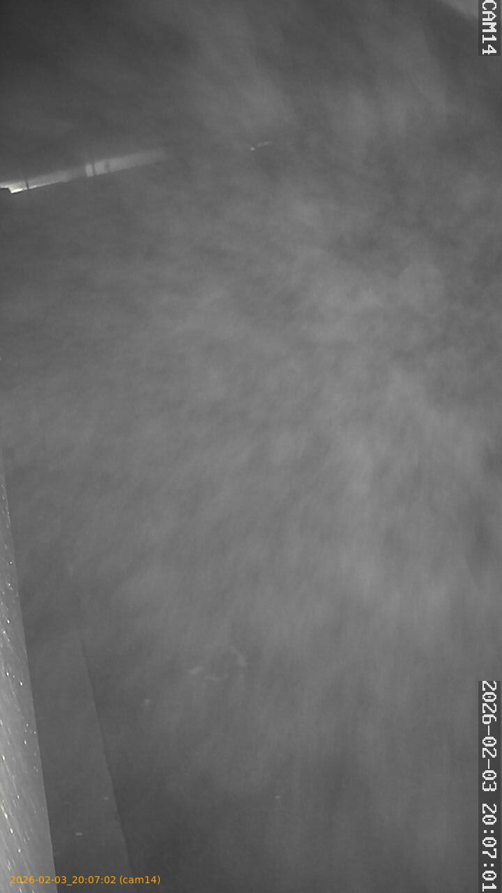 thumbnail_20260203200702