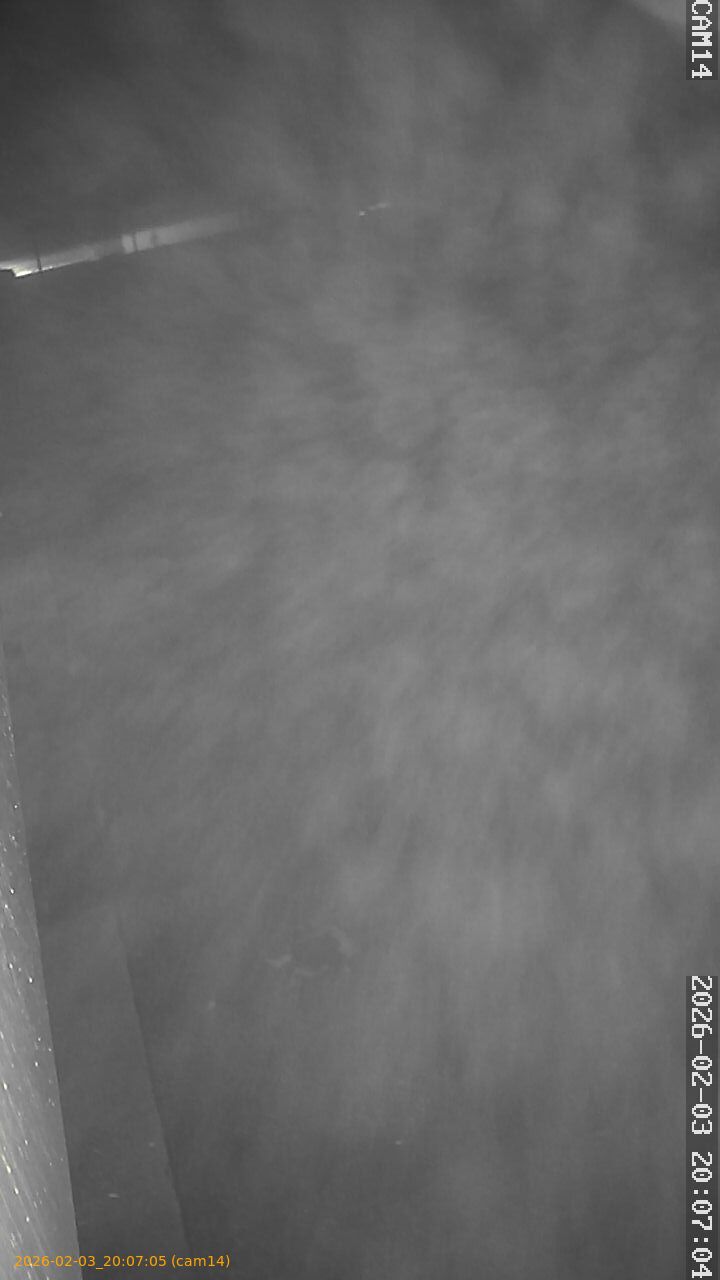 thumbnail_20260203200705