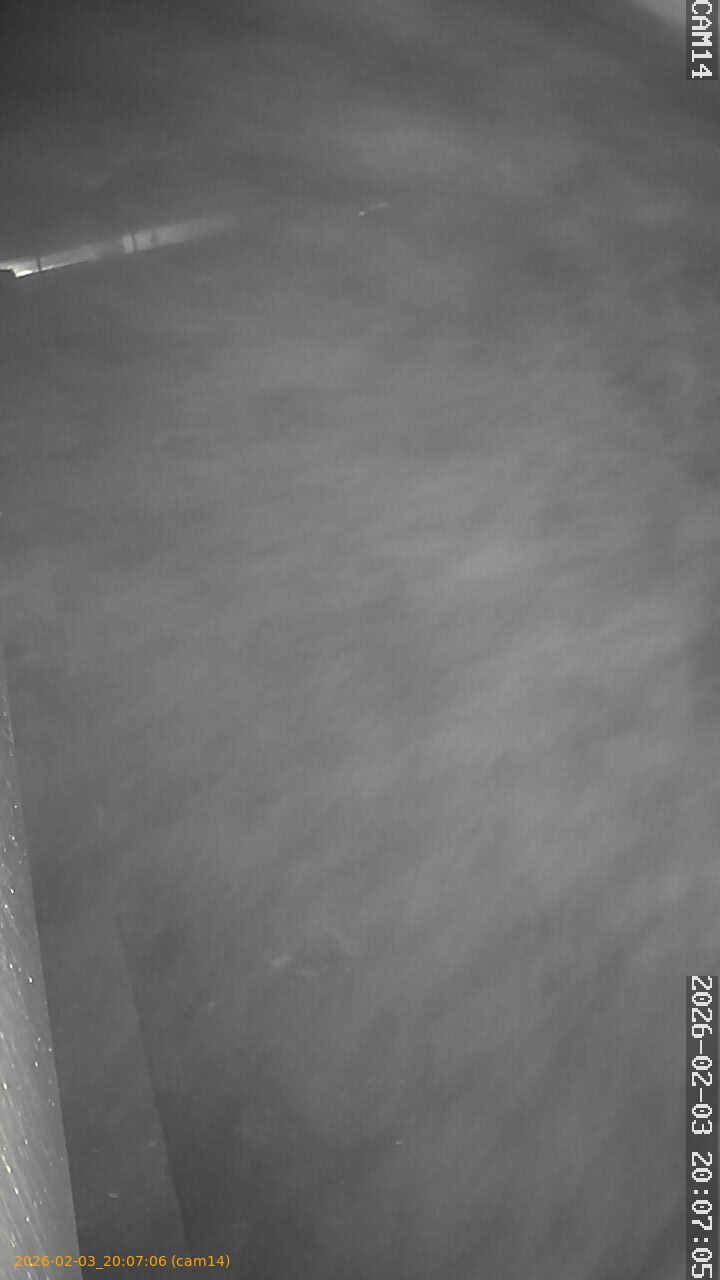 thumbnail_20260203200706